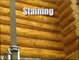  Knoxville, Georgia Log Home Staining